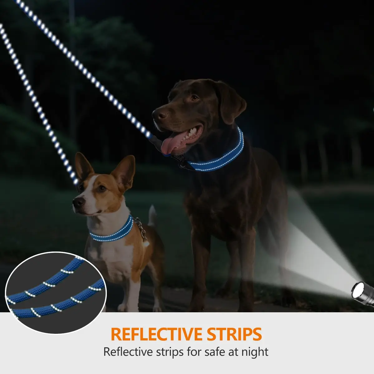 Taglory Blue Double Dog Leash Coupler 76.2cm (30 Inch) | Tangle-Free Swivel for Small & Medium Dogs - view 4