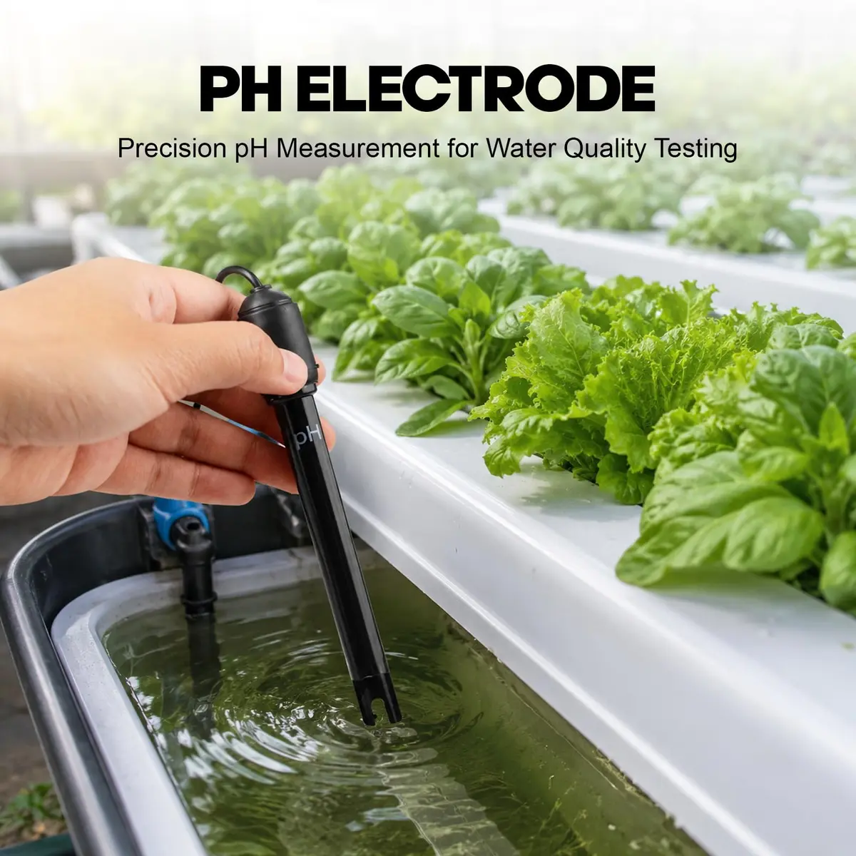 DANOPLUS Long Body pH Electrode with BNC Socket 300cm Cable | Precise pH Measurement for Lab & Field (120 chars) - view 2