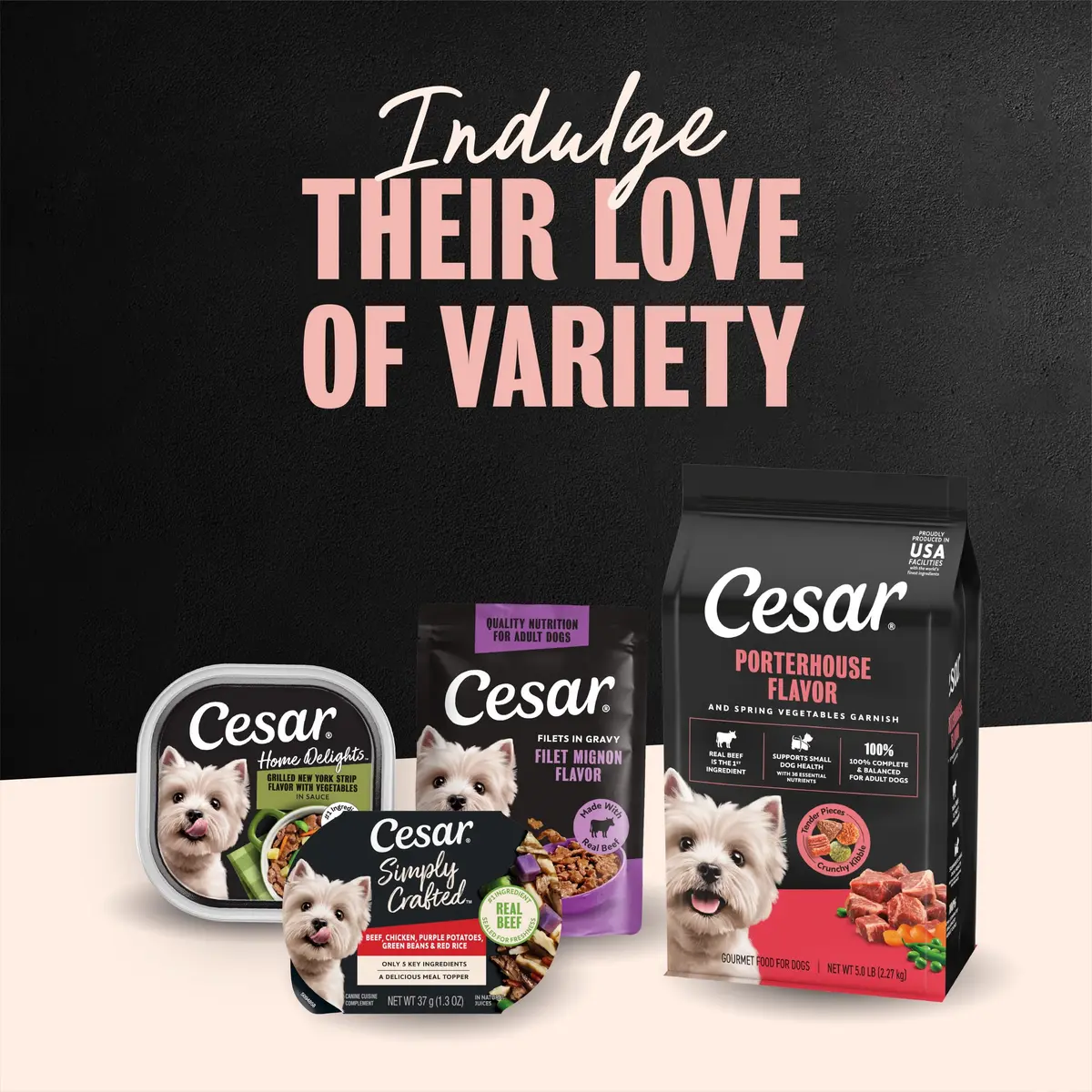 Cesar Small Breed Dry Dog Food Porterhouse Flavor & Spring Vegetables 2.27 kg (5 lb) | Real Beef First Ingredient - view 9