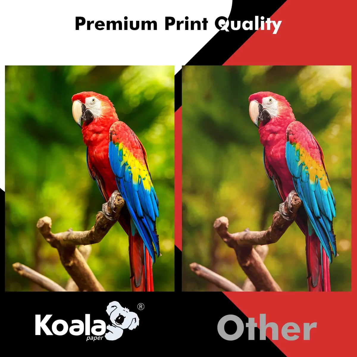 Koala Inkjet Transparency Film Clear Acetate Sheets for Crafts, 50 Sheets | 100% Transparent, Compatible with Inkjet Printers, 8.5x11 Inches - view 5
