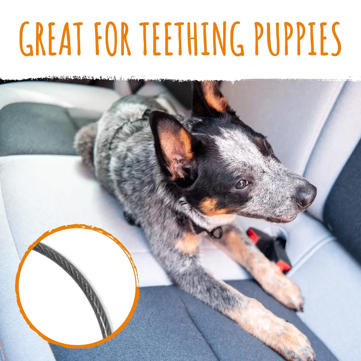 Mighty Paw Dog Seat Belt Vehicle - Chew-Proof 32" | Heavy-Duty Car Safety for Teething Puppies - view 3