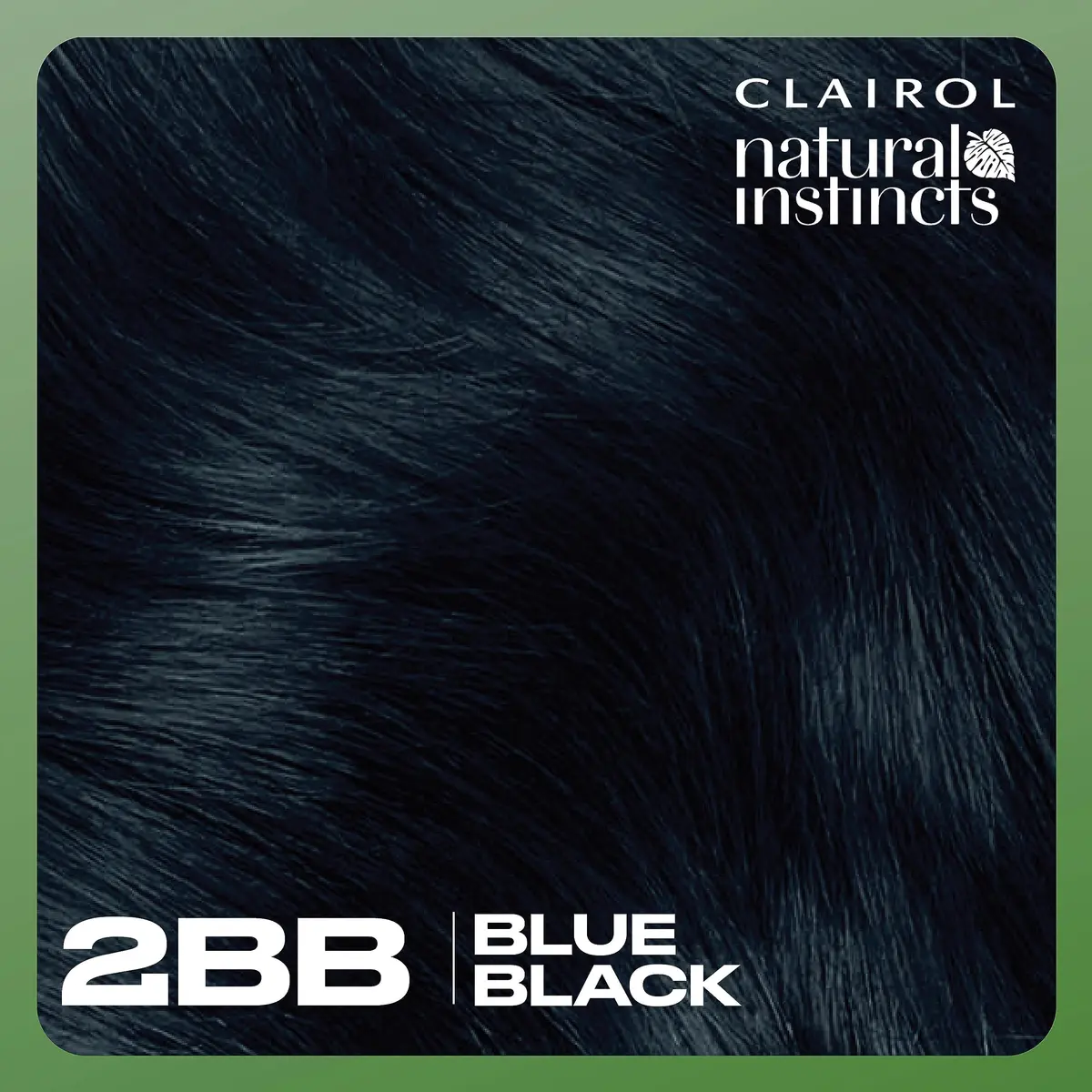 Clairol Natural Instincts Demi-Permanent Hair Dye, 2BB Blue Black, 172ml (5.85 Fl Oz) | Ammonia-Free Vegan Color - view 8
