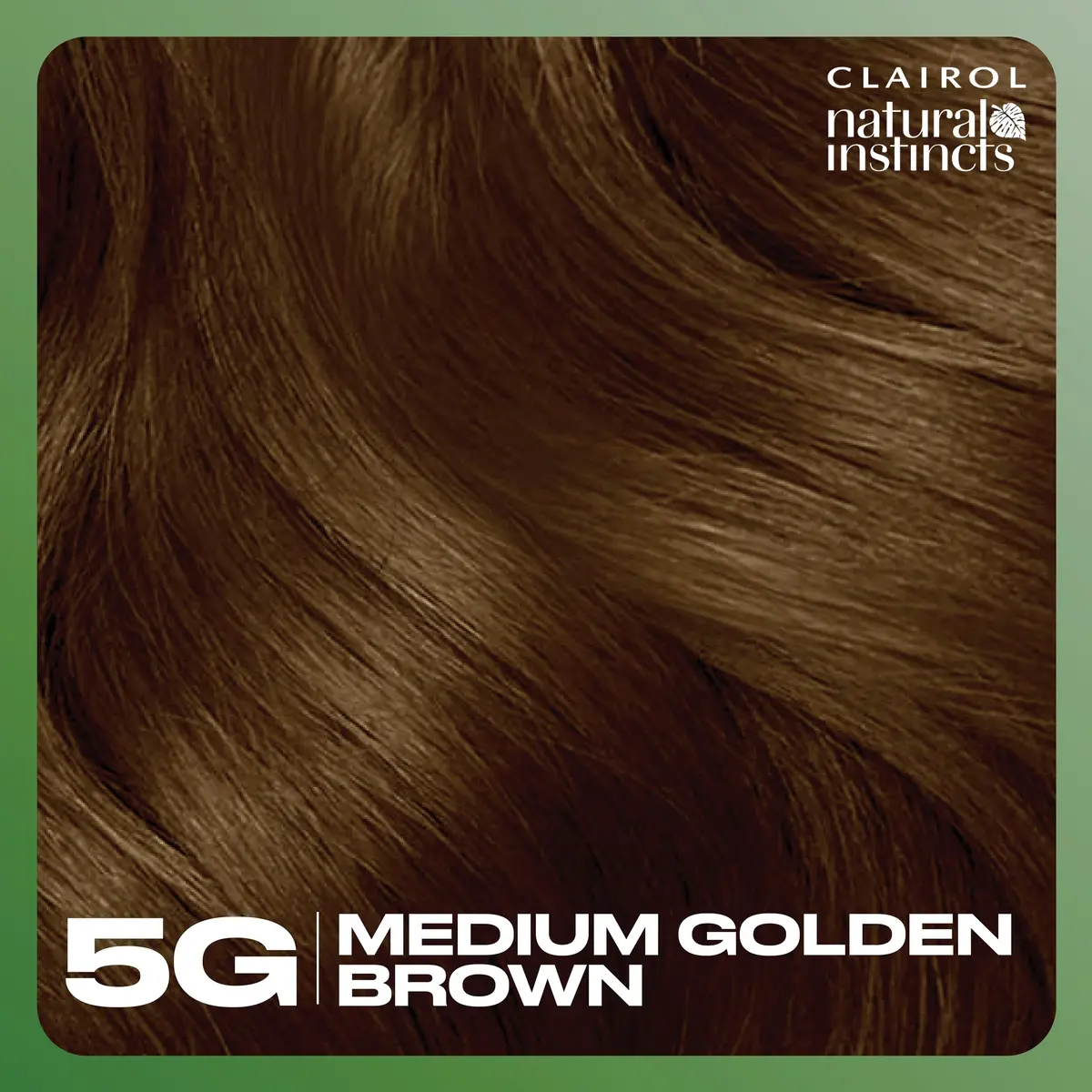 Clairol Natural Instincts Demi-Permanent Hair Dye 5G Medium Golden Brown 163ml (5.5 Fl Oz) | Gentle Ammonia-Free Color with Coconut Oil & Aloe - view 8
