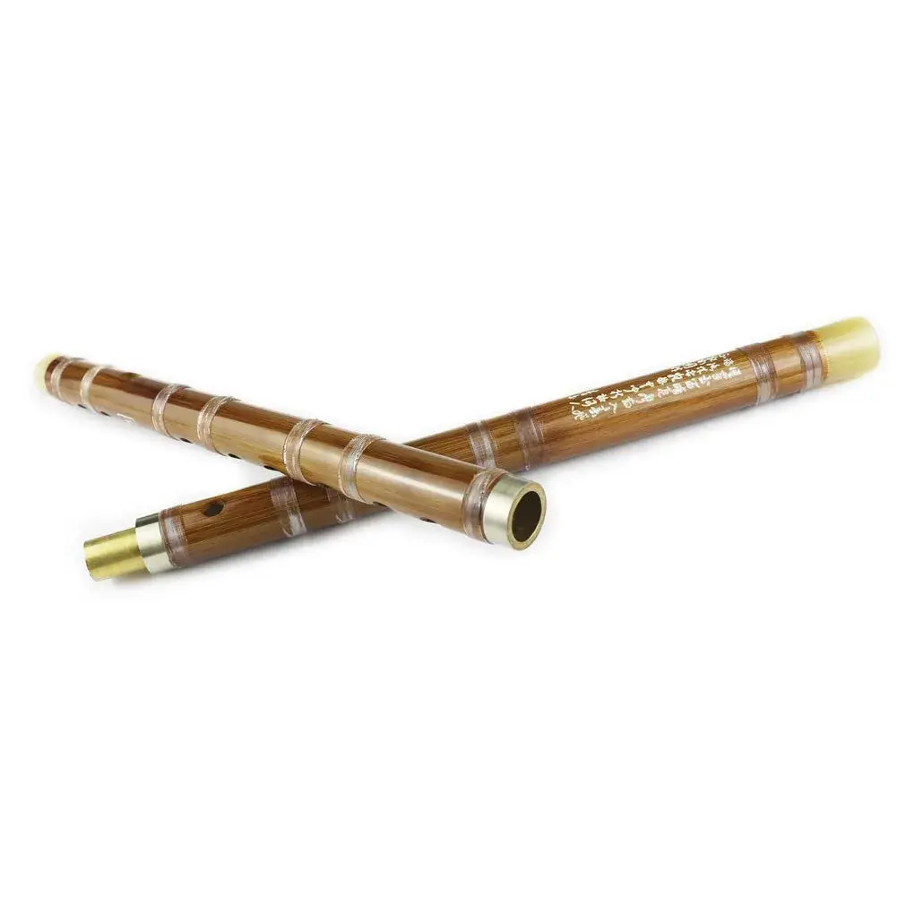 PHYSKOW Bitter Bamboo Dizi Flute in Key of D | Traditional Chinese Instrument - view 4
