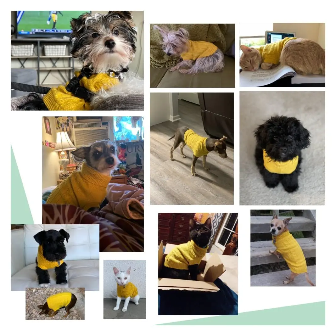 CHBORCHICEN Small Dog Sweater Turtleneck Pullover Winter Clothes | Knitted Acrylic, Warm & Breathable (70-120 chars) - view 5