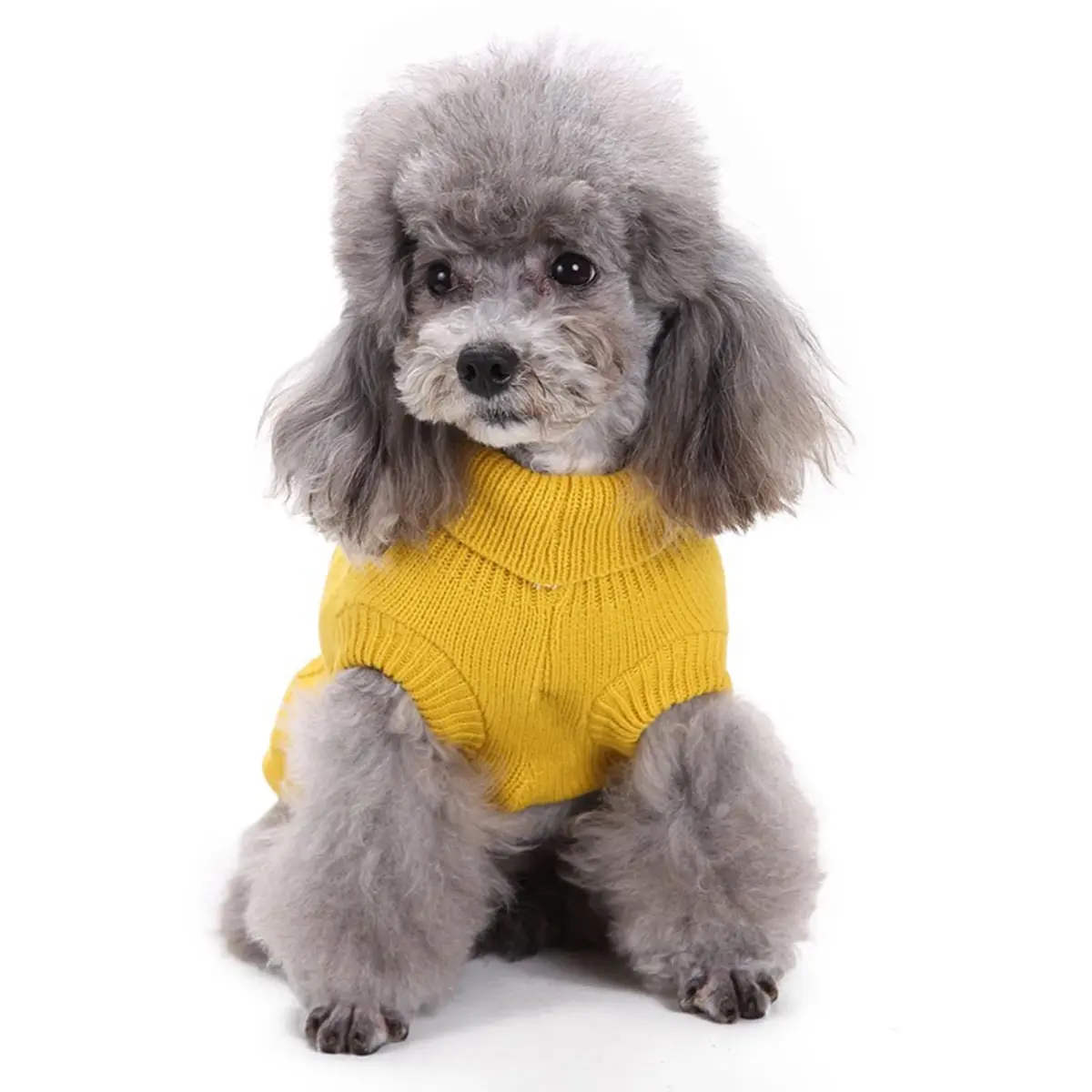 CHBORCHICEN Small Dog Sweater Turtleneck Pullover Winter Clothes | Knitted Acrylic, Warm & Breathable (70-120 chars) - view 2