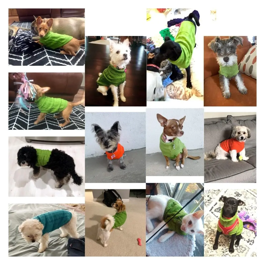 CHBORCHICEN Knitted Small Dog Sweater, Turtleneck Pullover | Warm Winter Puppy Clothes for Small Breeds - view 5