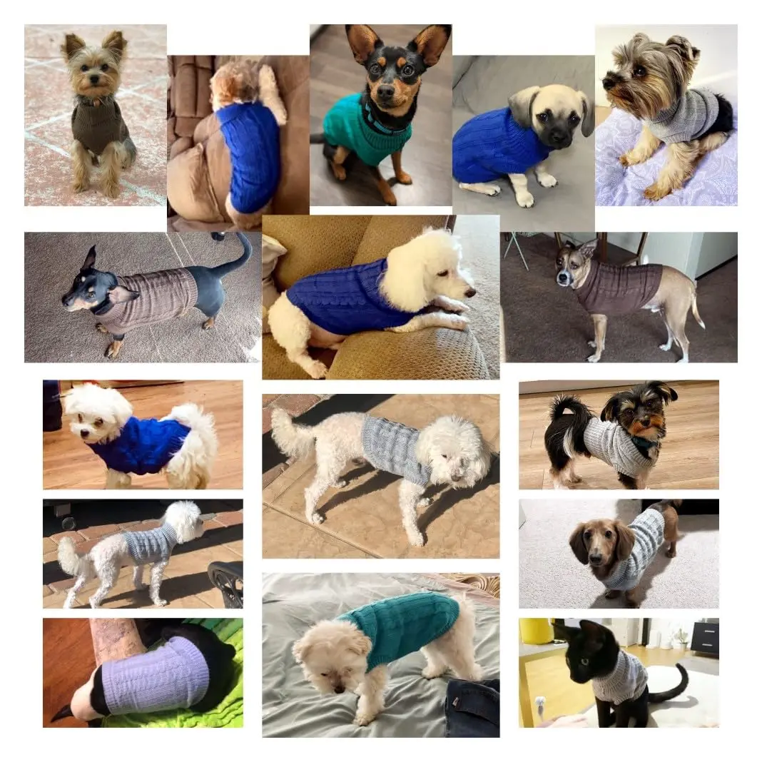 CHBORCHICEN Knitted Small Dog Sweater, Turtleneck Pullover | Warm Winter Puppy Clothes - view 5