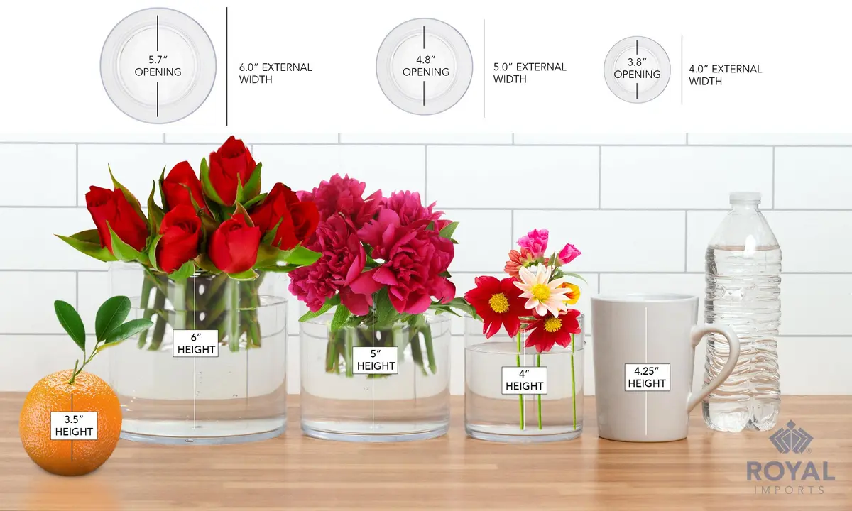 Royal Imports Acrylic Cylinder Vase 4"x4" | Modern Flower Display (70-120 chars) - view 5