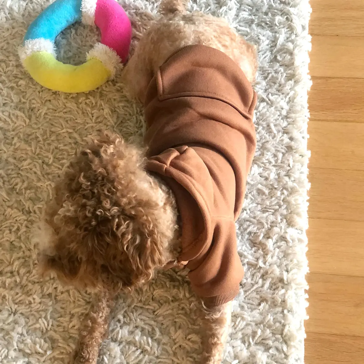 JECIKELON Small Dog Hoodie with Pocket | Warm Fleece Winter Coat for Pets (70-120 chars) - view 2