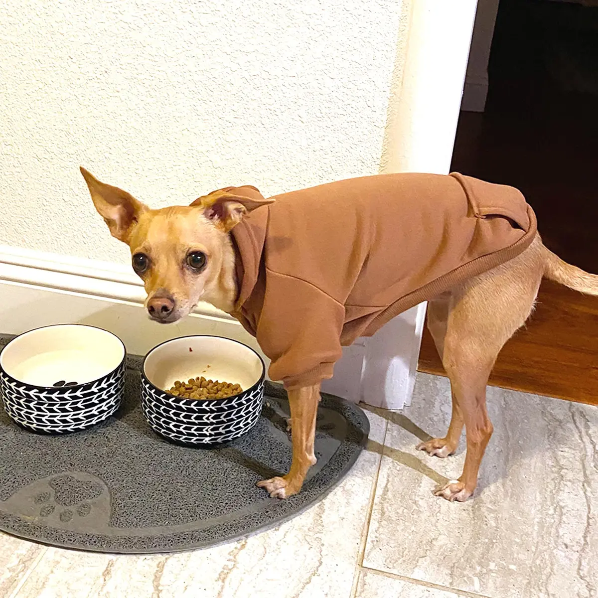 JECIKELON Small Dog Hoodie with Pocket | Warm Fleece Winter Coat for Pets (70-120 chars) - view 3