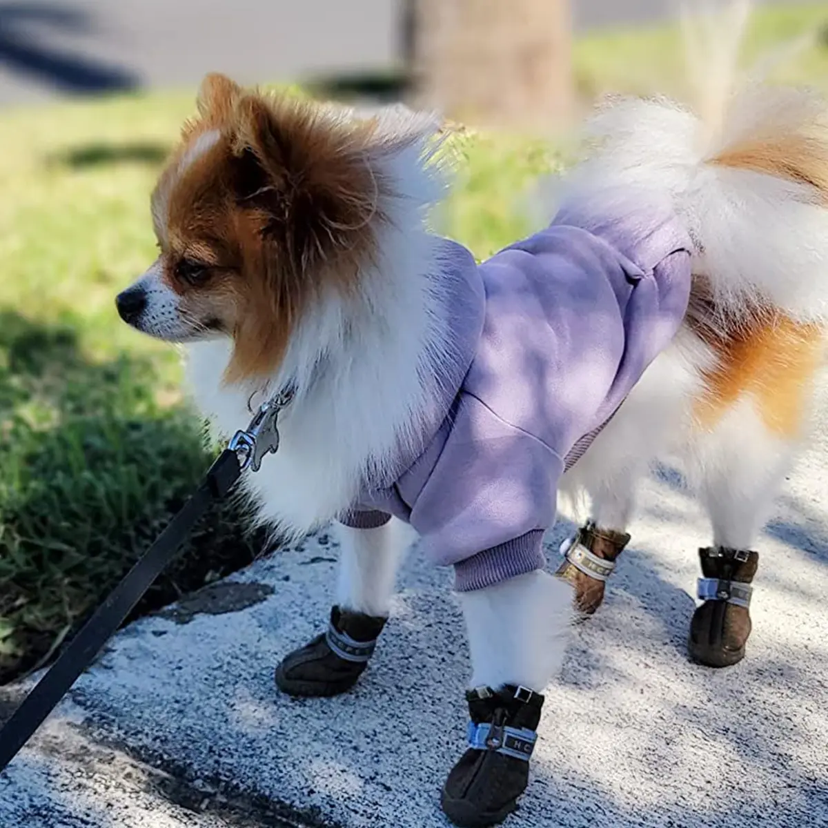JECIKELON Small Dog Hoodie with Pocket & Hat | Warm Fleece Winter Coat (17cm/6.7in) - view 3