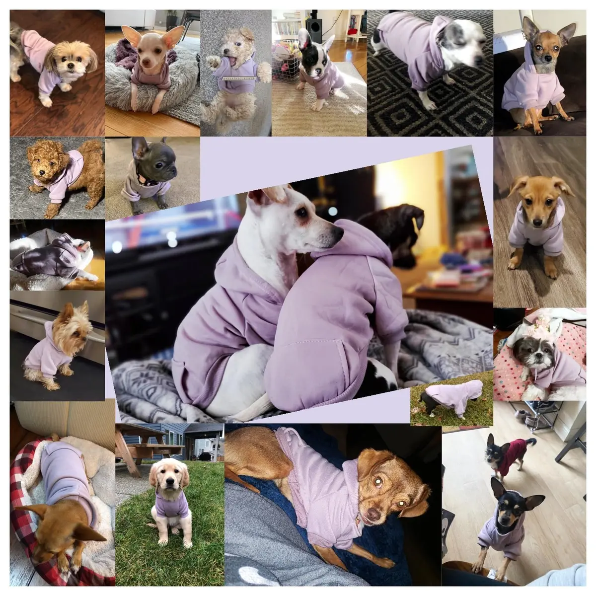 JECIKELON Small Dog Hoodie with Pocket & Hat | Warm Fleece Winter Coat (17cm/6.7in) - view 4