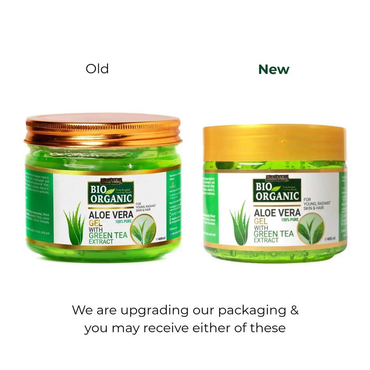 INDUS VALLEY Bio Organic Pure Aloe Vera Gel With Green Tea Extract 400ml (13.53 Fl Oz) | Soothes & Hydrates Skin - view 4