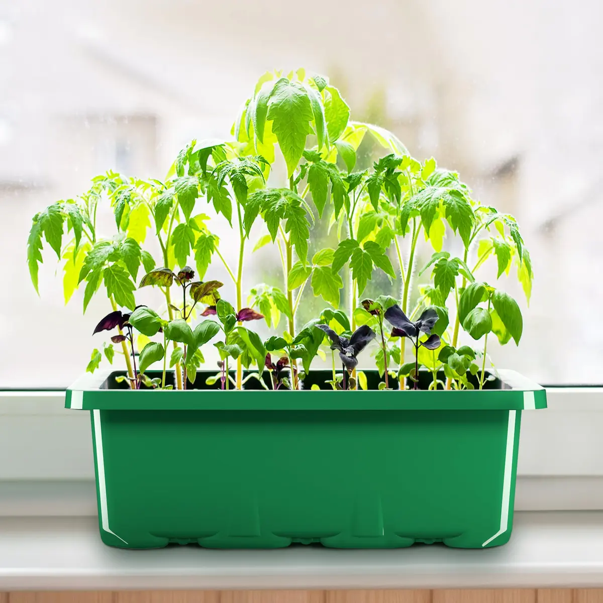 MIXC 10 Pack Seed Starter Tray with Humidity Dome, 120 Cells | Reusable Green Planter Kit - view 7