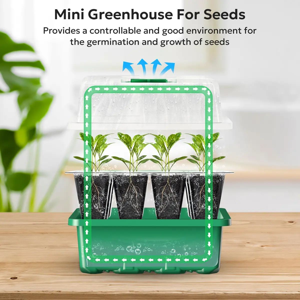 MIXC 10 Pack Seed Starter Tray with Humidity Dome, 120 Cells | Reusable Green Planter Kit - view 4