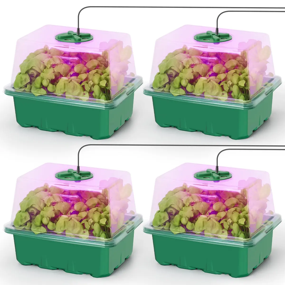 MIXC 4 Pack Seed Starter Kit with Grow Light, Vented Humidity Dome, Green | Full Spectrum LED for Indoor Gardening - main product image