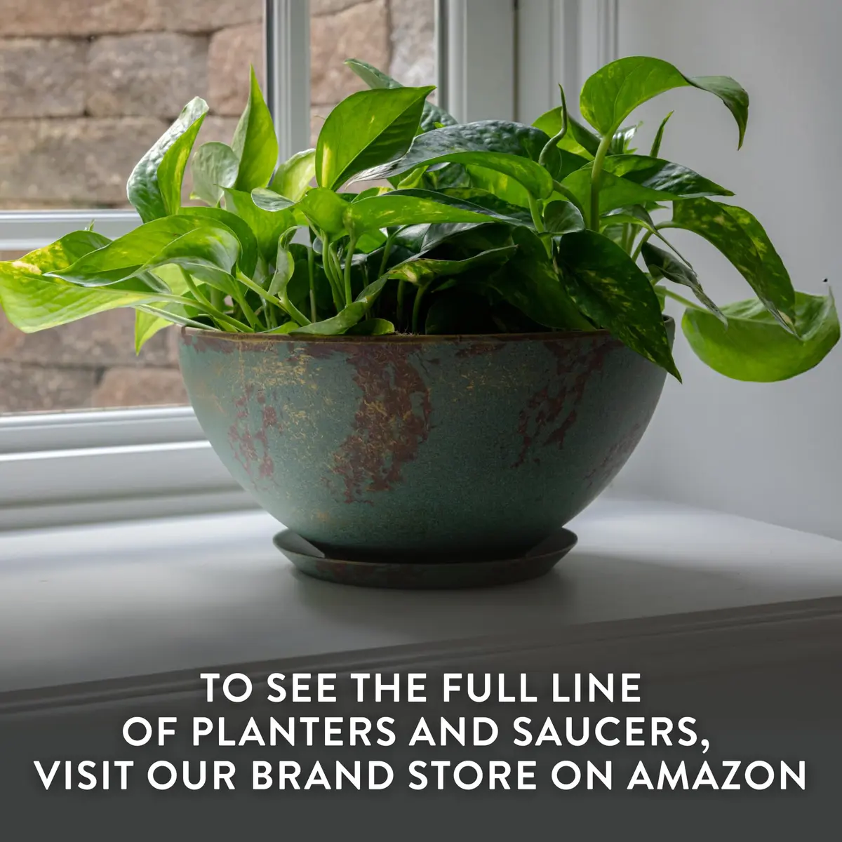 Classic Home & Garden GROWSCAPE Rosie Planter Bowl, 10” Earth | Weather-Resistant Resin with Drainage - view 7