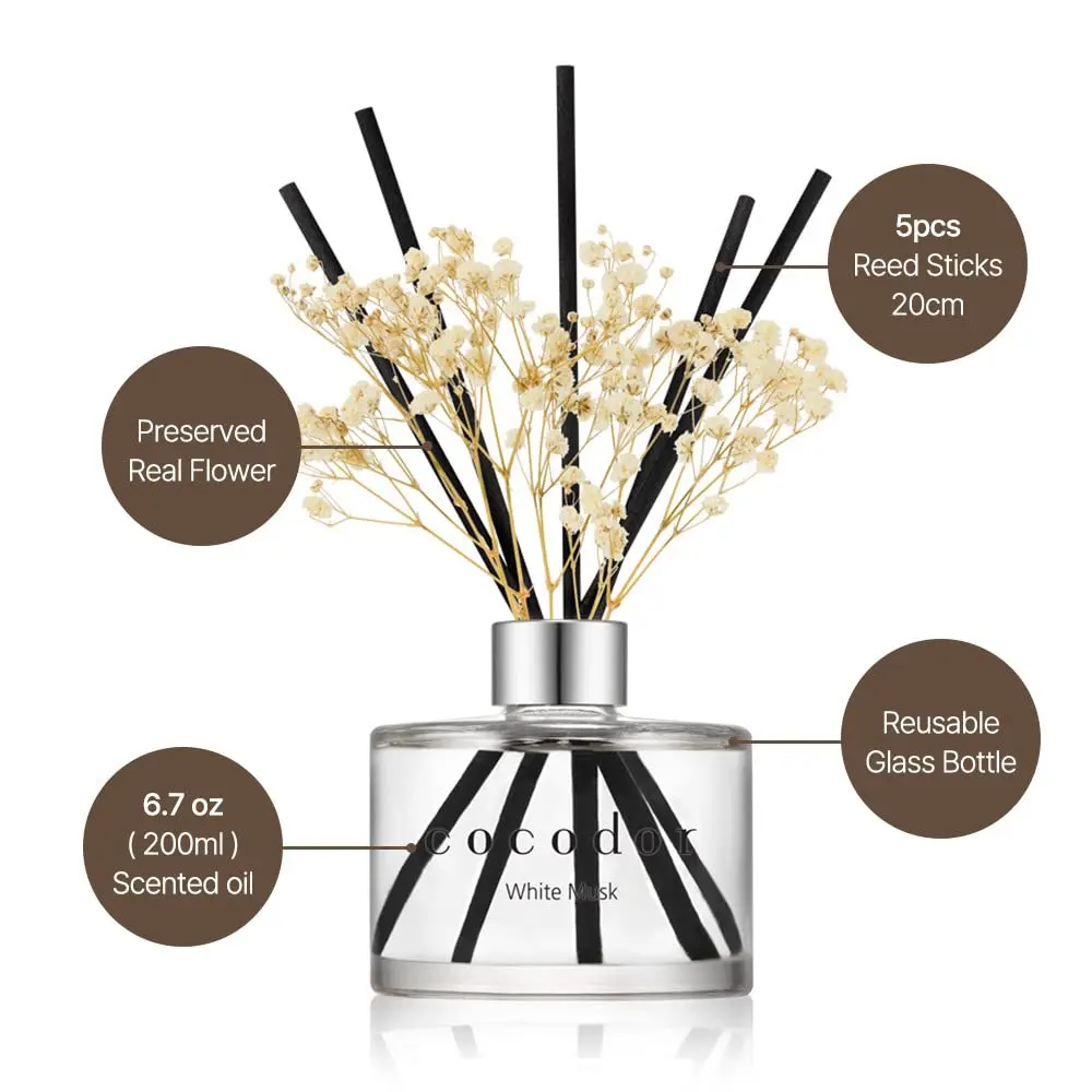 Cocod'or Reed Diffuser Set with Preserved Baby's Breath & April Breeze Scent 200ml (6.7oz) | Long-Lasting Home Fragrance - view 3