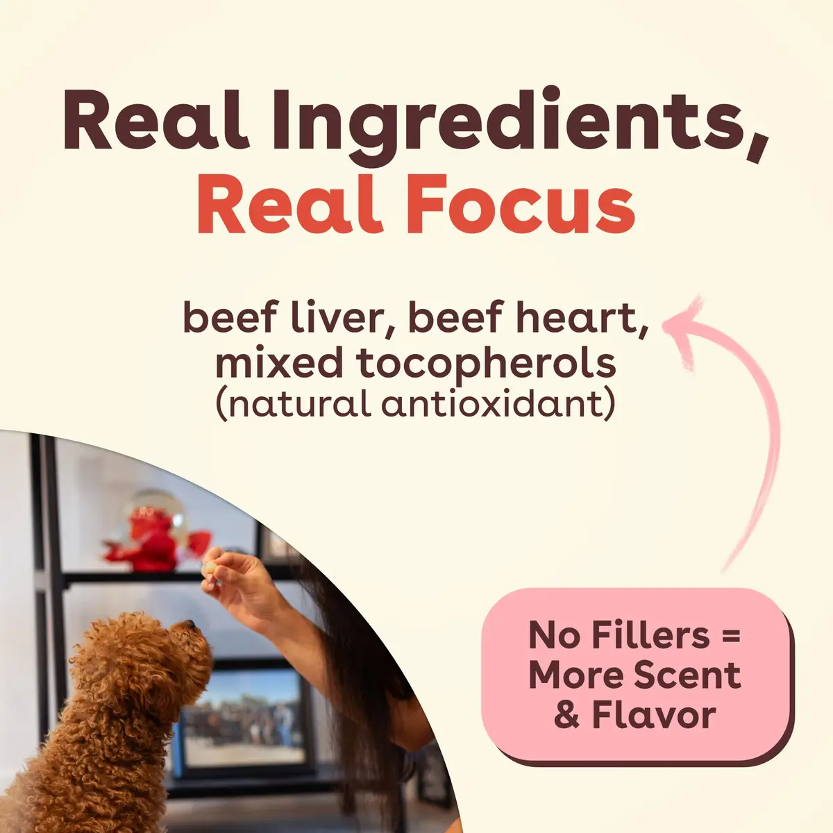 Pupford Freeze Dried Training Treats for Dogs & Puppies (Beef Liver, 4 oz) | All-Natural, Low-Calorie, Perfect for Training - view 4
