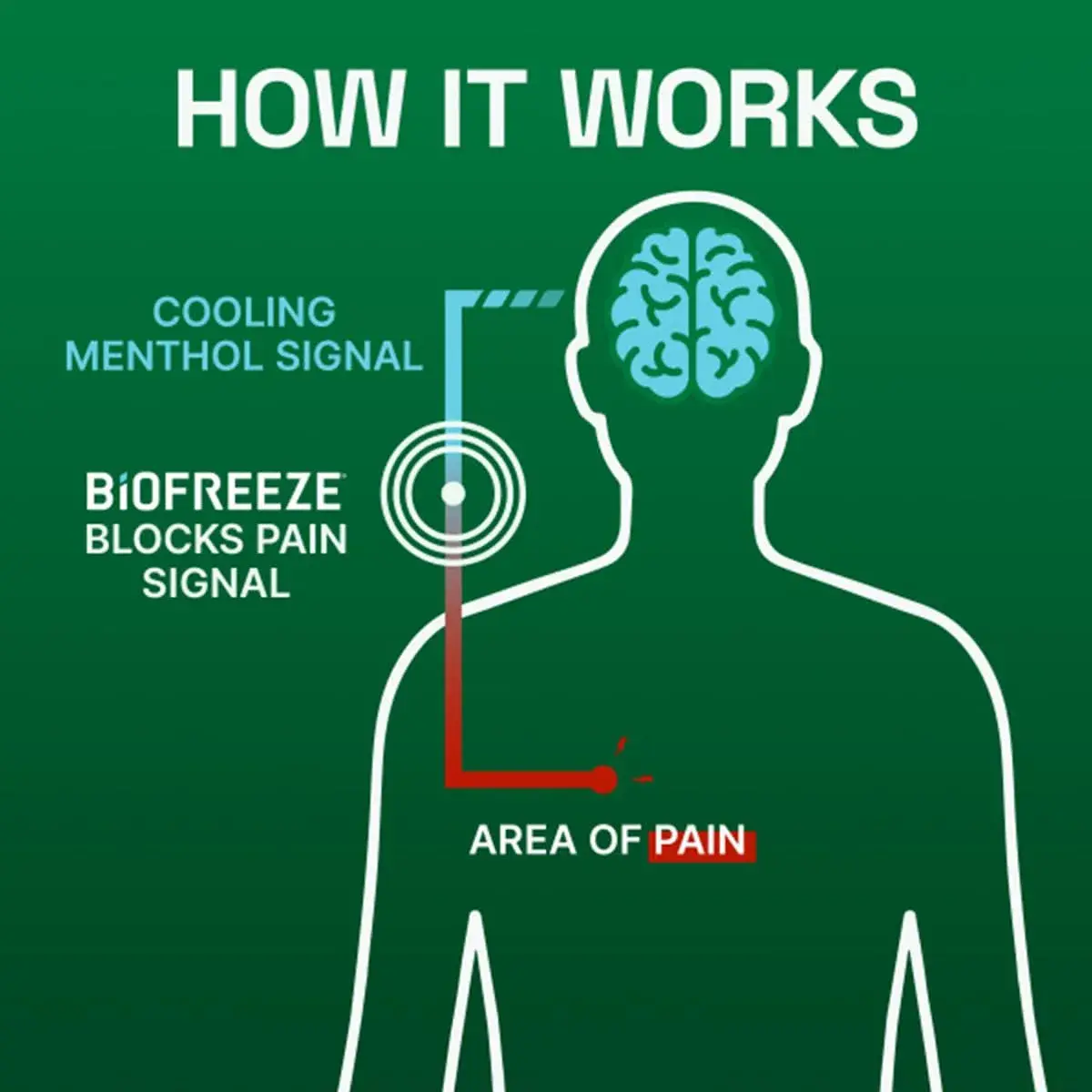Biofreeze Menthol Pain Relief Cream 177ml (6 Fl Oz) | Cooling Relief for Arthritis, Muscle & Back Pain - view 8