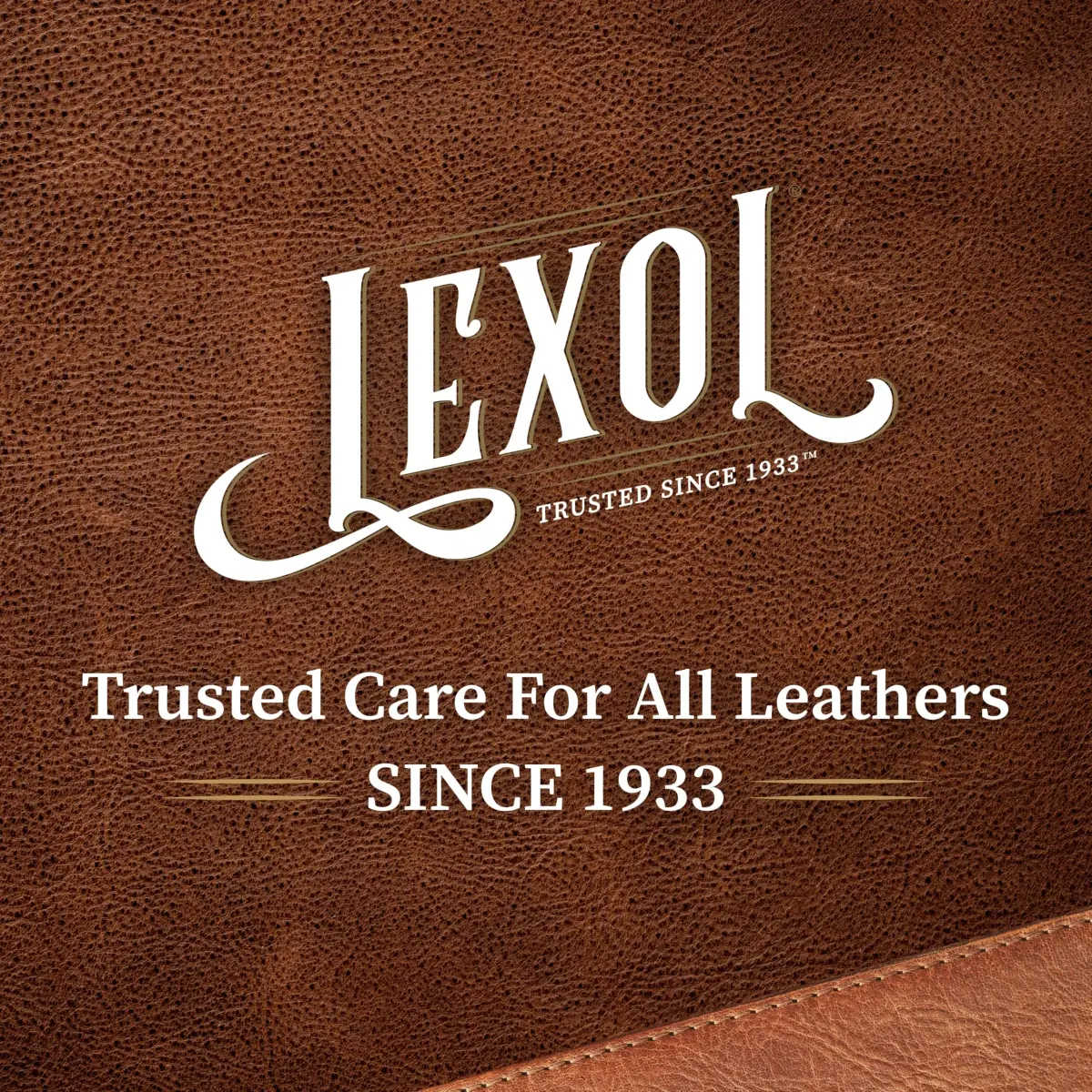 Lexol Leather Cleaner and Conditioner Kit for Furniture, Car Interiors, Shoes & Handbags | 2 x 8 oz Bottles - view 8