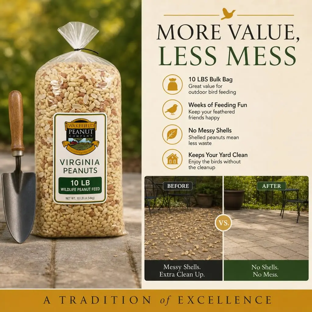 Wakefield Virginia Peanuts Animal Grade Raw Wildlife Peanuts, 10 LBS | Unsalted, Shelled & High Energy for Wildlife in India - view 5