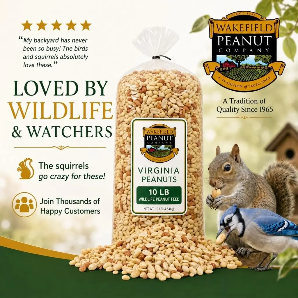 Wakefield Virginia Peanuts Animal Grade Raw Wildlife Peanuts, 10 LBS | Unsalted, Shelled & High Energy for Wildlife in India - view 6