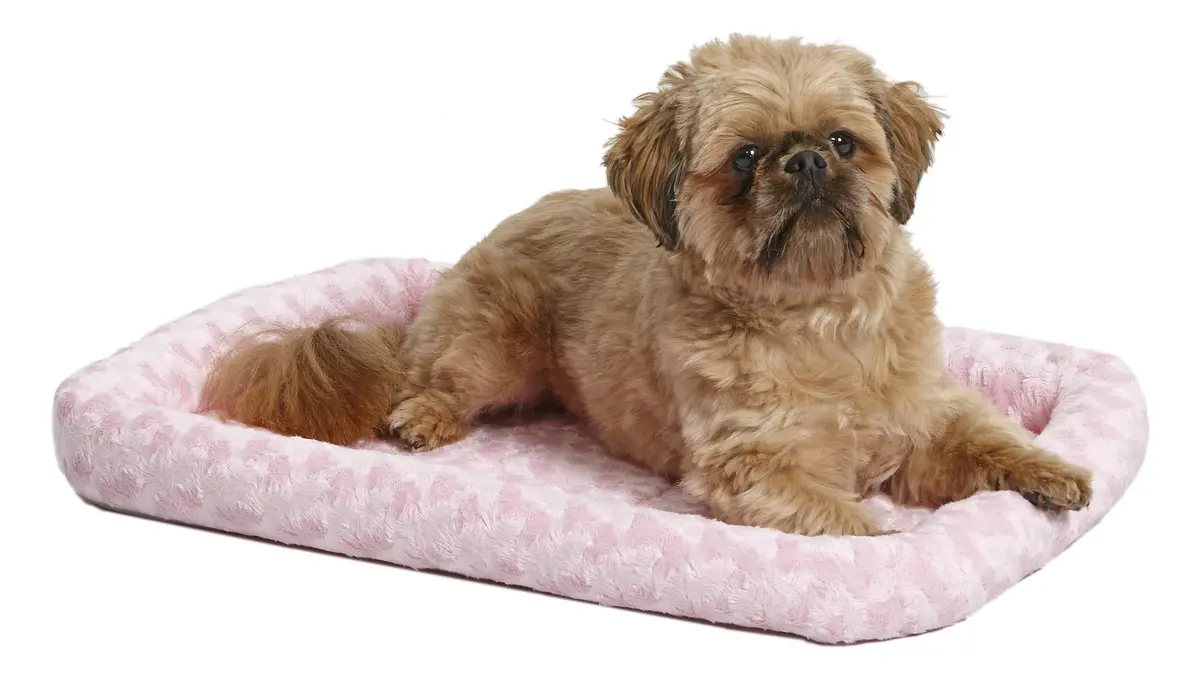 MidWest Homes for Pets Pink Animal_Cage 24-inch Starter Kit for Small Dogs | Complete Crate & Accessories - view 5