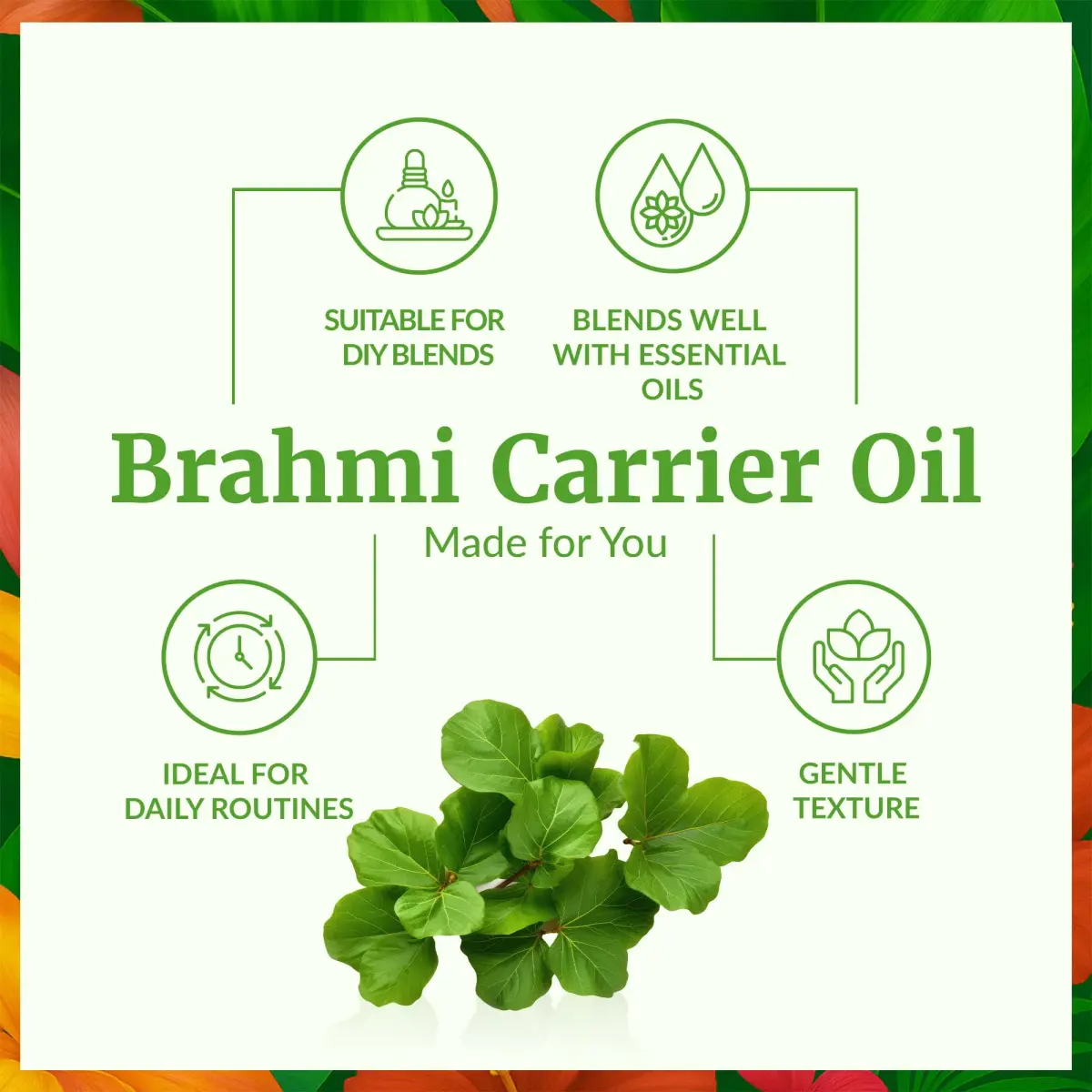 SVA ORGANICS Brahmi Carrier Oil - 32 Fl Oz (946 ml) Large Bottle - view 3