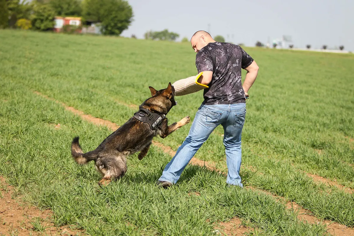 YES4QUALITY Dog Bite Sleeve for Large Dogs | Heavy Duty Canine Training Gear (20x12") - view 8