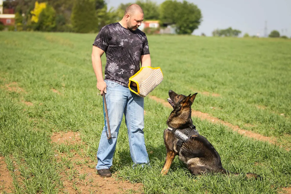 YES4QUALITY Dog Bite Sleeve for Large Dogs | Heavy Duty Canine Training Gear (20x12") - view 9