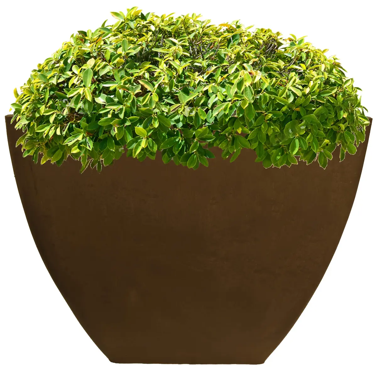 RTS Home Accents 16" Square Garden Planter for Indoor or Outdoor Gardening, Oak - Weather-Resistant & Stylish - view 4