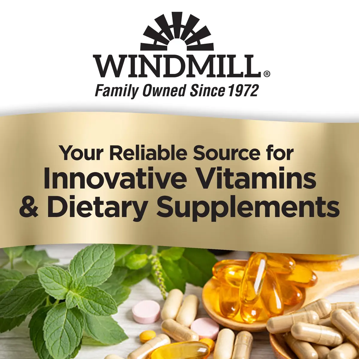 Windmill Elderberry with Vitamin C & Echinacea Capsules 60 Ea | Immune Support & Antioxidant Boost - view 4