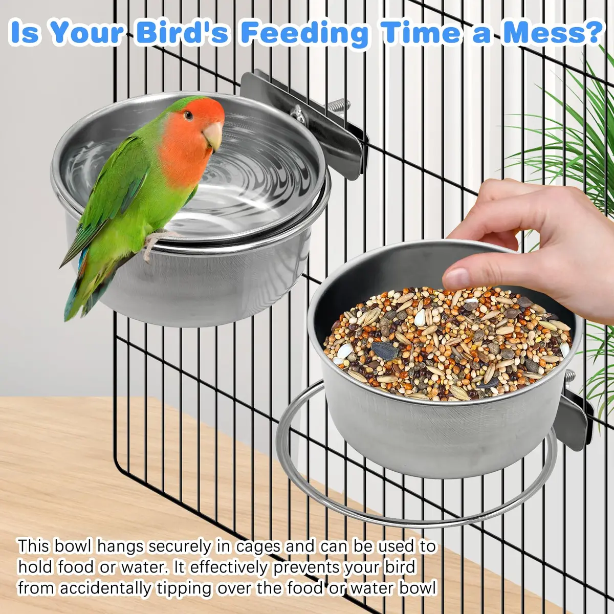 Tfwadmx Bird Feeding Dish Cups Parrot Food Bowl Clamp Holder Coop Cup 2PCS | Stainless Steel Water & Food Bowls for Cage - view 4