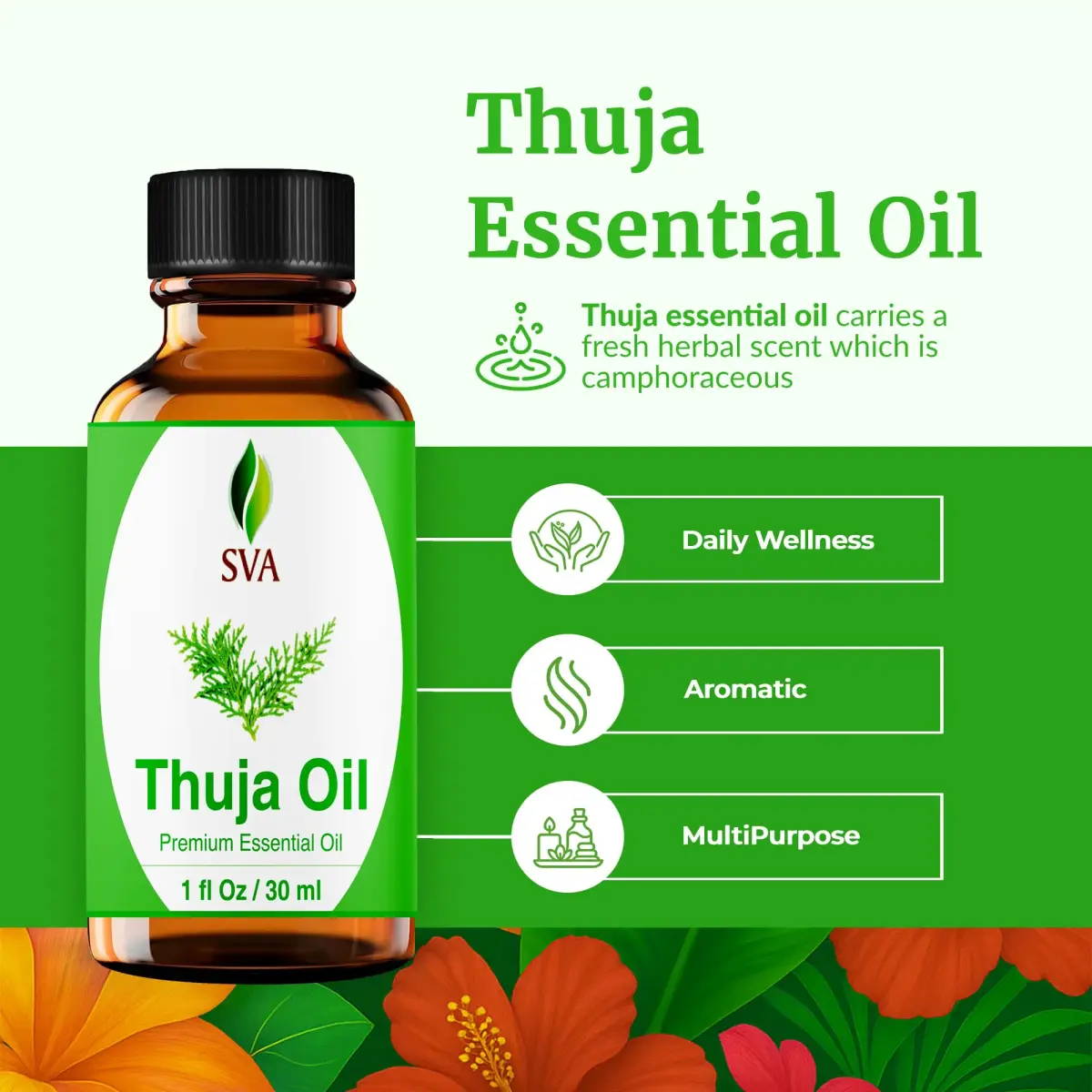 SVA ORGANICS Thuja Essential Oil, 1 Fl Oz (30 ml) - Pure & Natural Steam Distilled - view 2