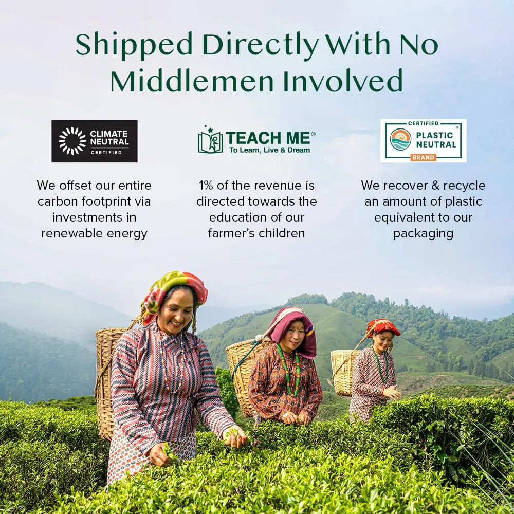 VAHDAM Organic Himalayan Green Tea 100 Count Pyramid Tea Bags | USDA Organic & Plant-Based - view 7