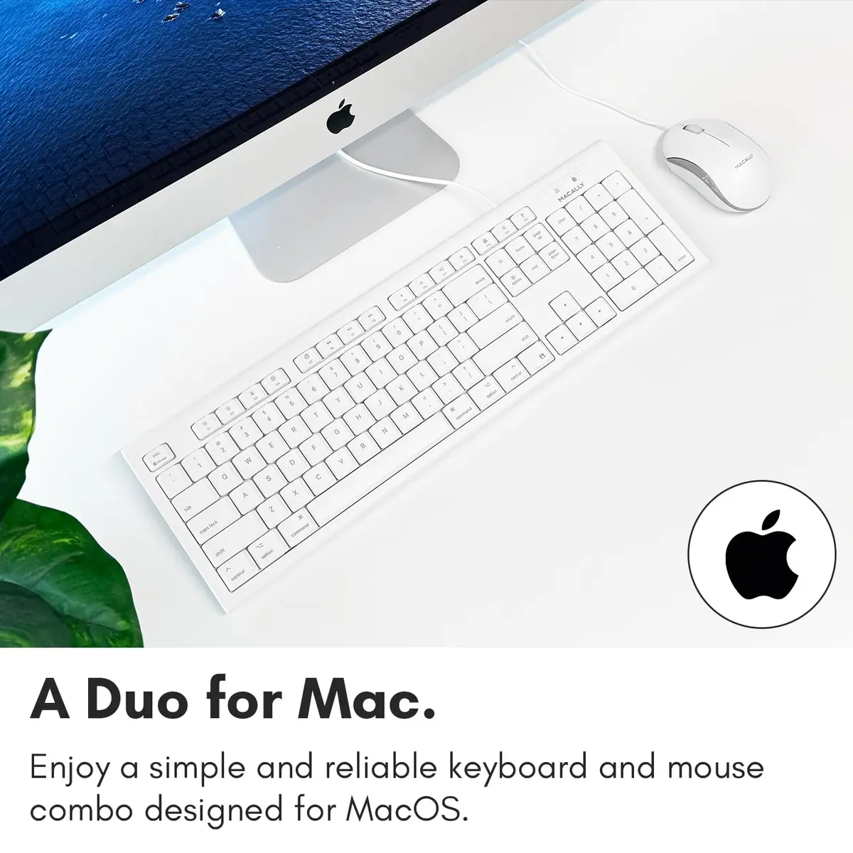 Macally QKEYCOMBO Full Size USB Wired Mac Keyboard and Mouse Combo with Numeric Keypad & Apple Shortcuts 2.27 kg (5 lb) | Ergonomic Design for Mac Computers - view 2