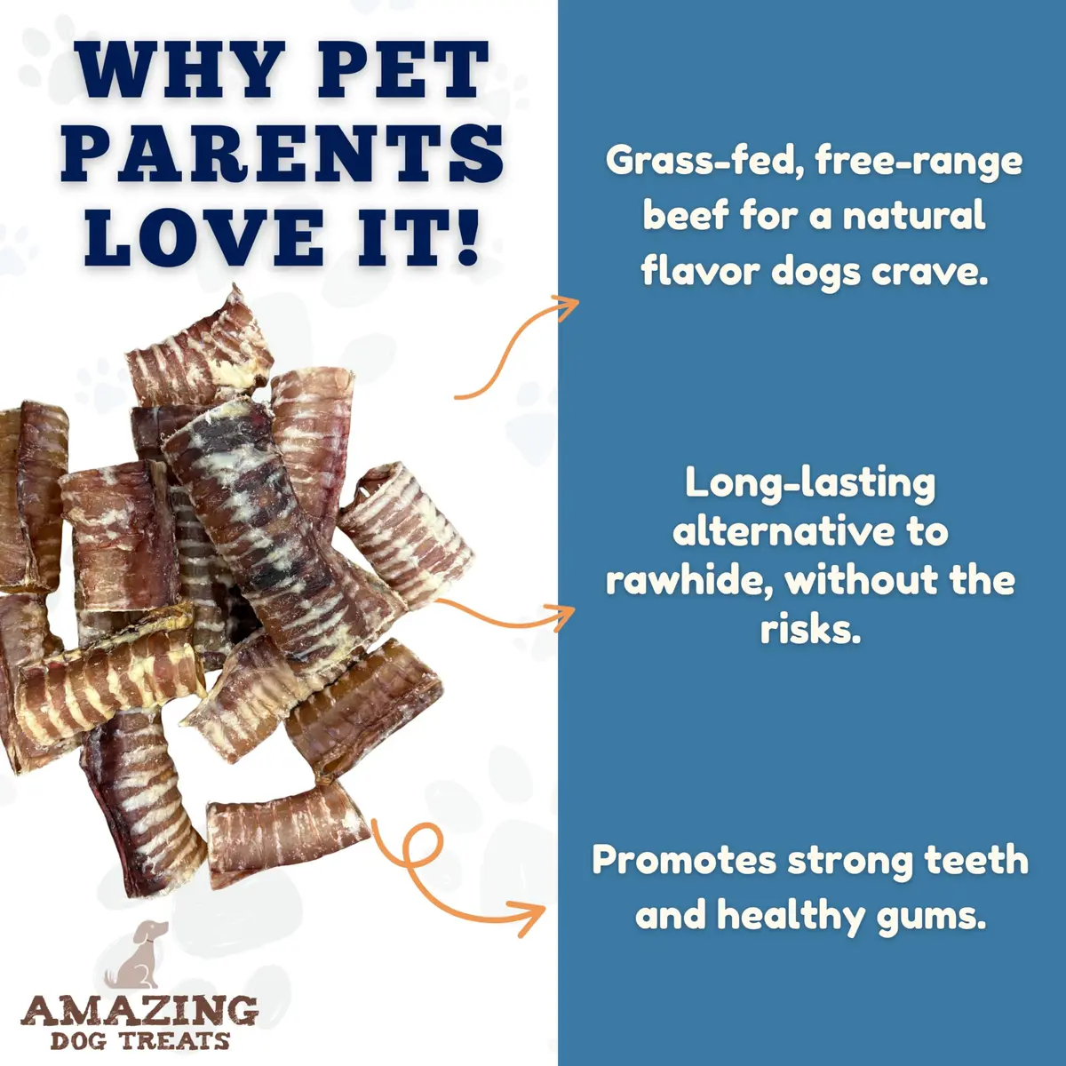 Amazing Dog Treats - 3-4 Inch Beef Trachea Rings (25 pcs) | Long-lasting, All-Natural Dog Chews for Small & Large Breeds - view 3
