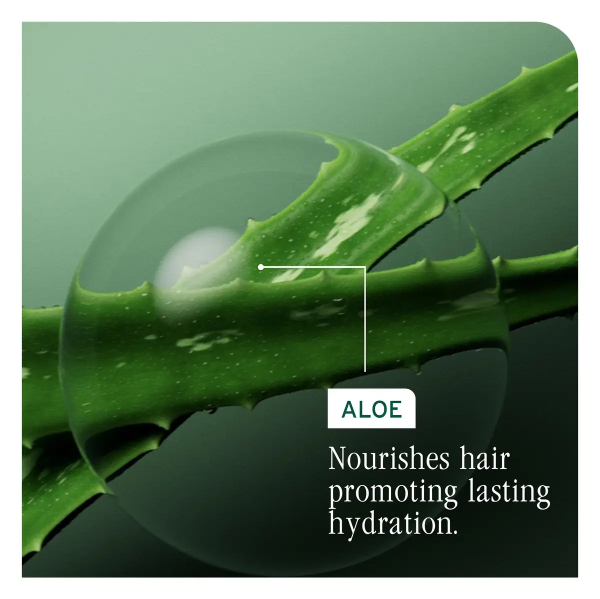 Biolage Hydra Source Deep Treatment Mask – For Dry Hair, 3.3 fl oz | Intense Hydration & Nourishment - view 6