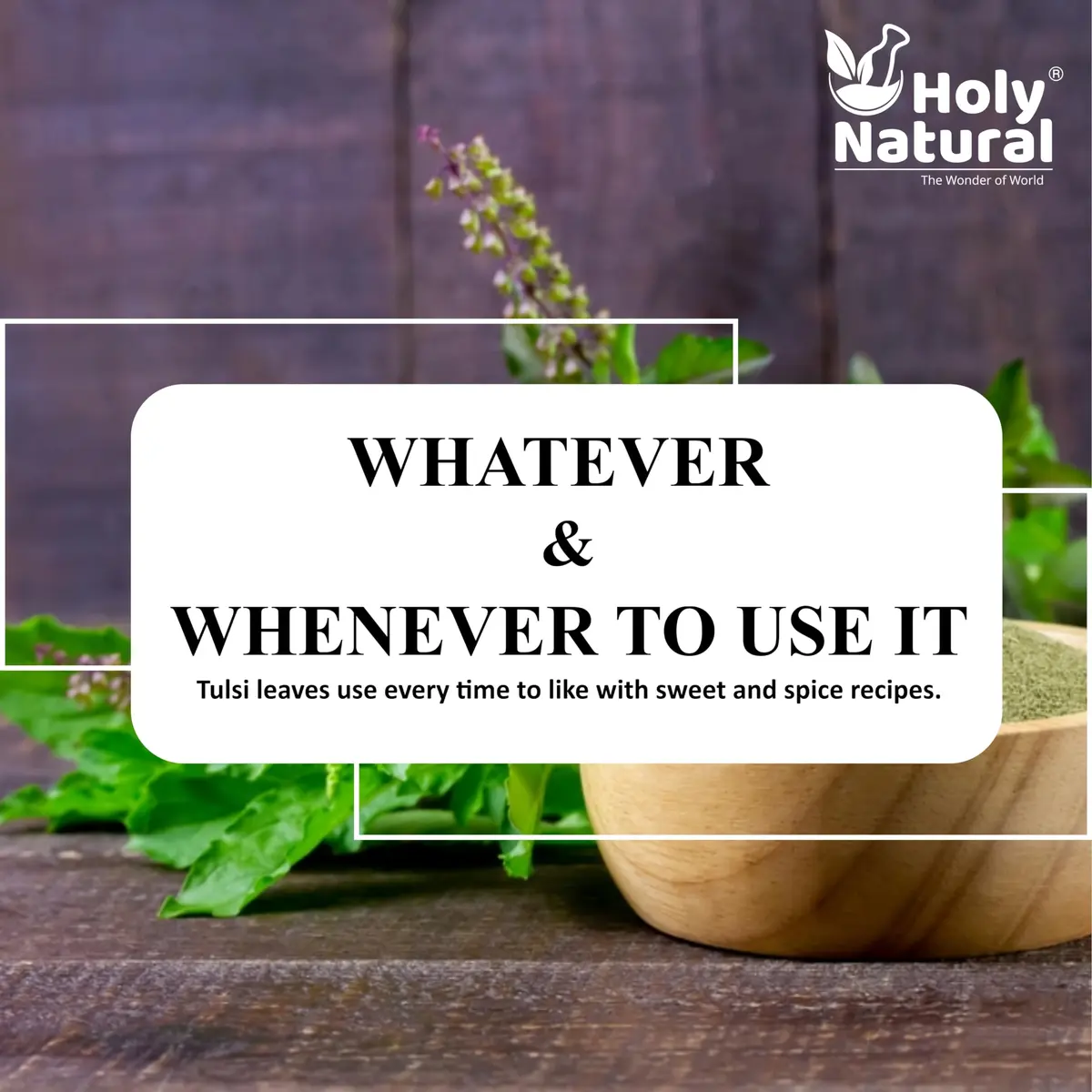 Holy Natural Basil Leaves Dried 200Gm | Organic Sweet Basil for Cooking & Tea - view 8