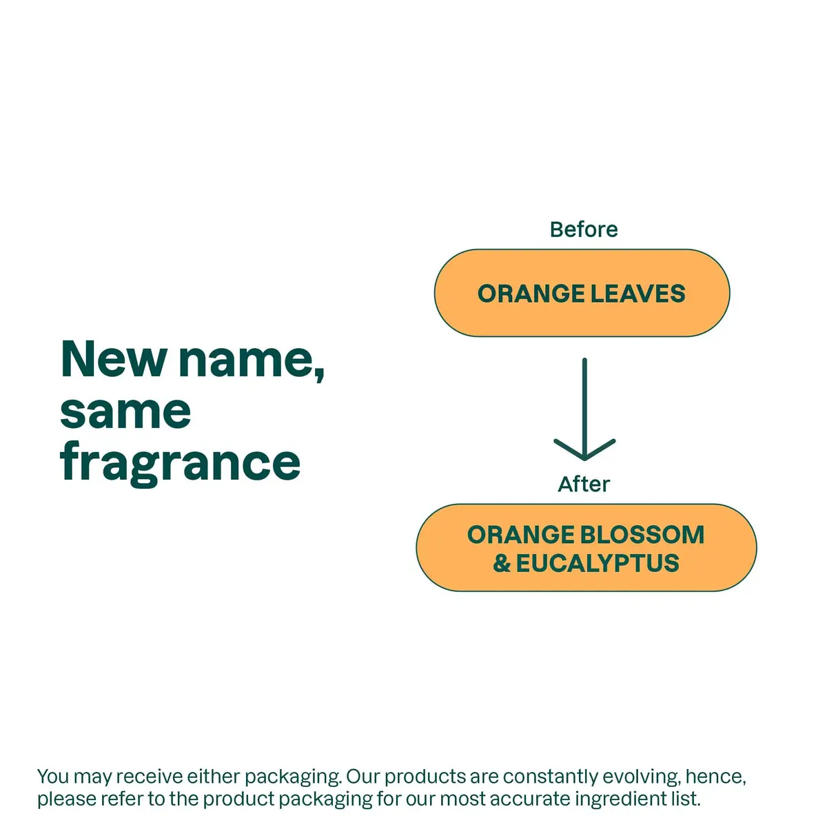ATTITUDE Foaming Hand Soap Orange Blossom & Eucalyptus 296ml (10 Fl Oz) | EWG Verified Clean Ingredients - view 7