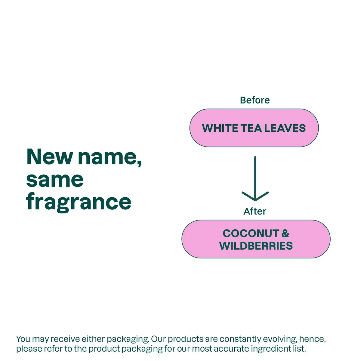 ATTITUDE Foaming Hand Soap Coconut & Wild Berries 295ml (10 Fl Oz) | EWG Verified Natural Origin - view 7