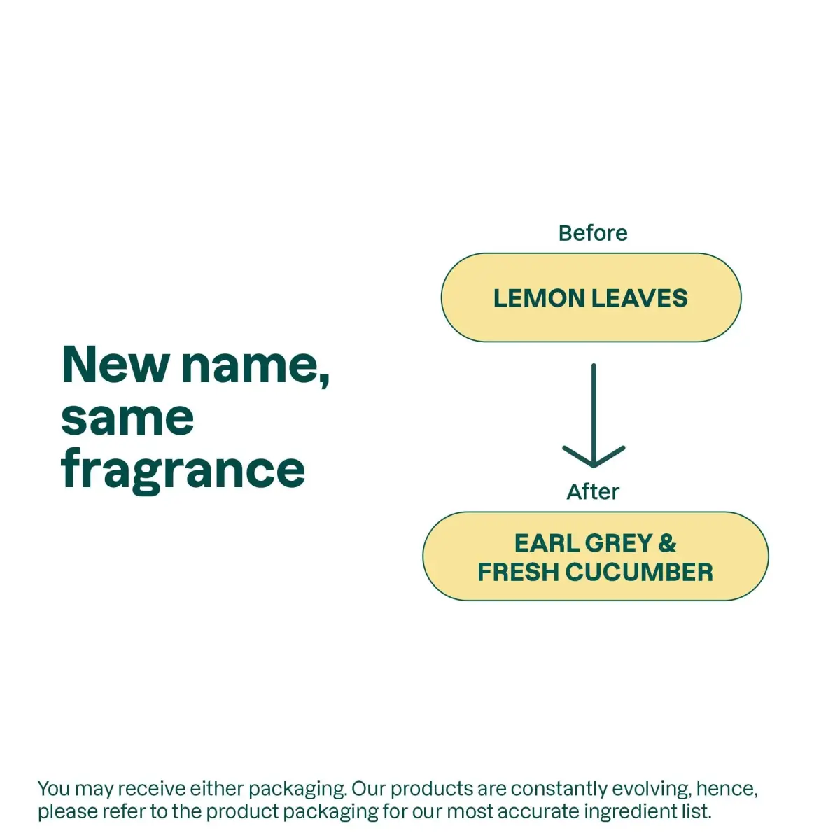 ATTITUDE Foaming Hand Soap Earl Grey & Fresh Cucumber 295ml (10 Fl Oz) | EWG Verified Gentle Cleanser - view 7