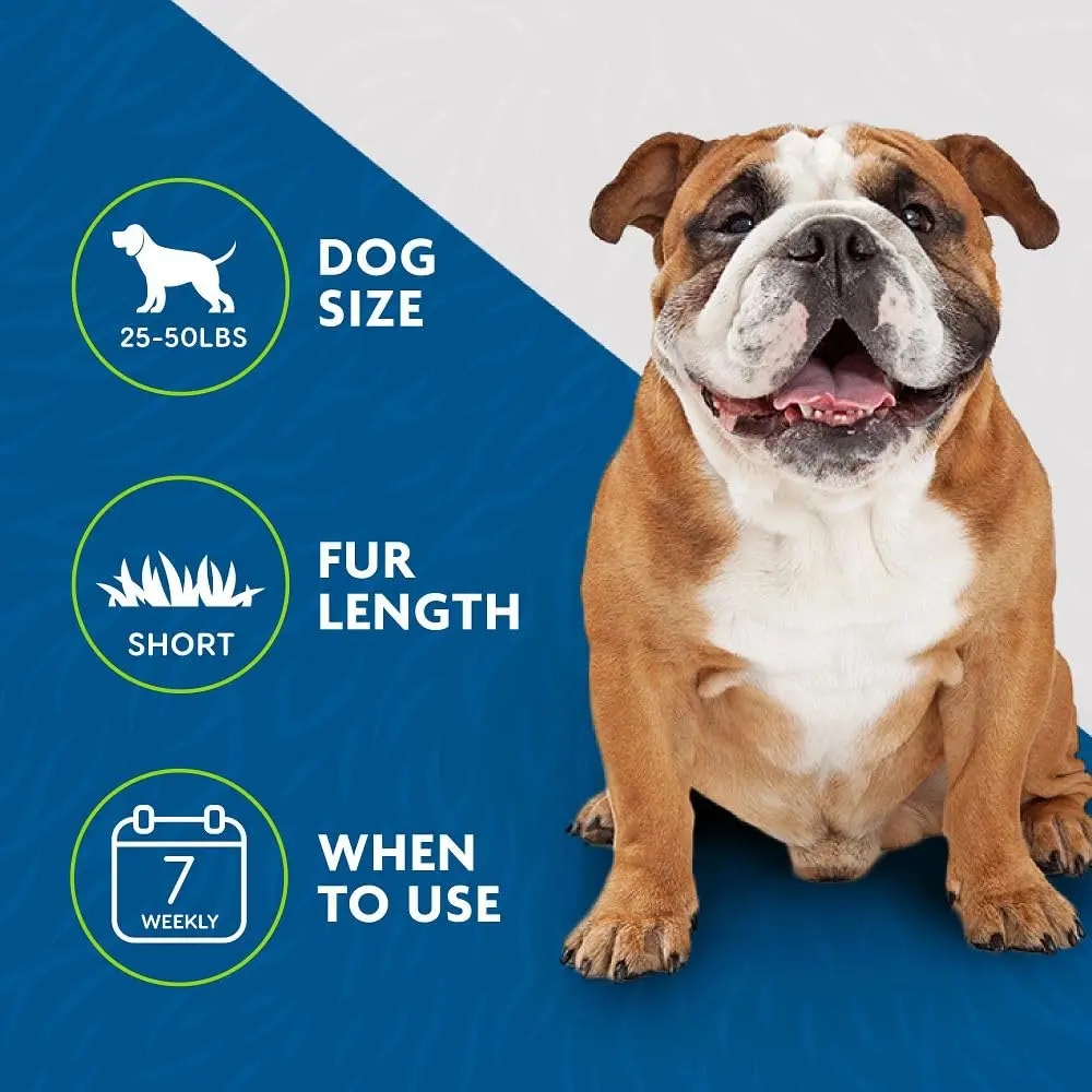 FURminator Medium Dog Undercoat deShedding Tool for Short Hair | Reduces Shedding by Up to 90% - view 5
