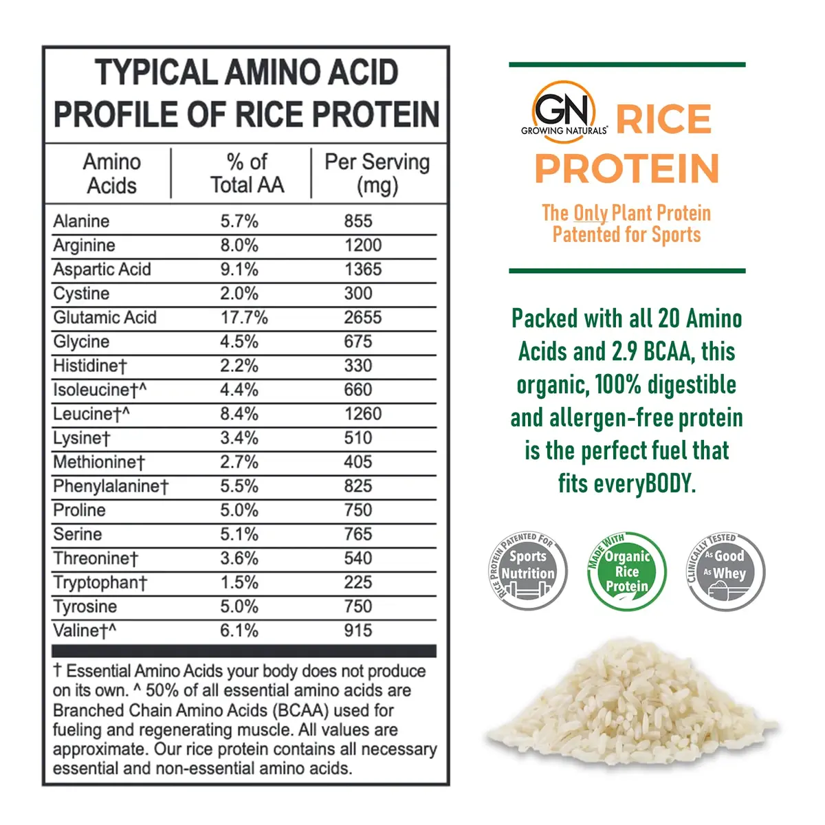 Growing Naturals Organic Rice Protein Powder, Chocolate Power, 16.8 Oz | Vegan & Non-GMO - view 4
