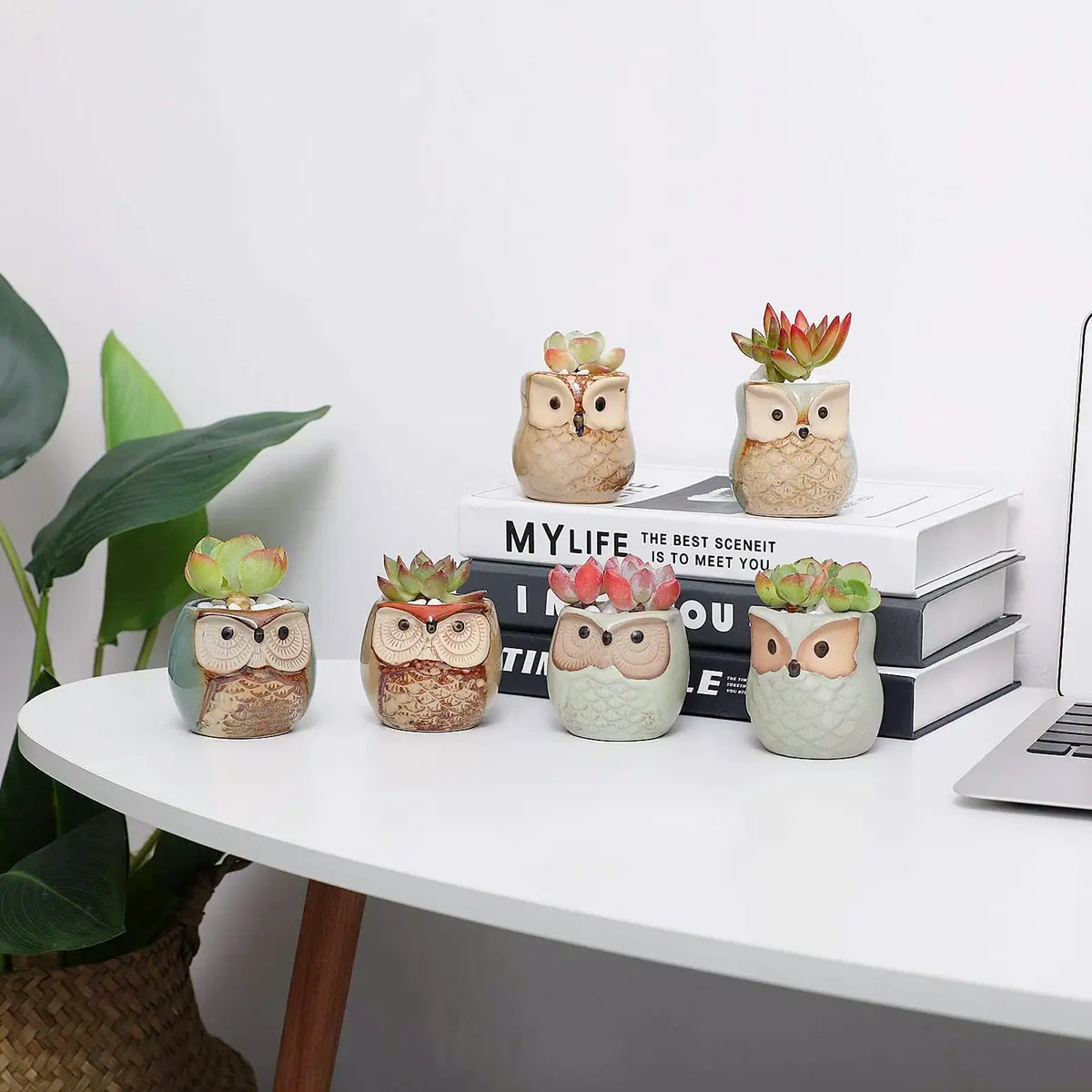 T4U Owl Succulent Pots, Mini Ceramic Planter, 12-Pack | Whimsical Owl Face Decor for Indoor Plants - view 8