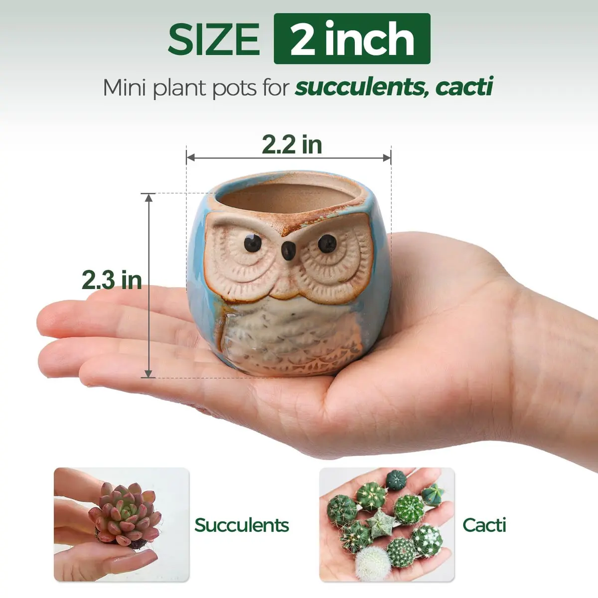 T4U Owl Succulent Pots, Mini Ceramic Planter, 12-Pack | Whimsical Owl Face Decor for Indoor Plants - view 2