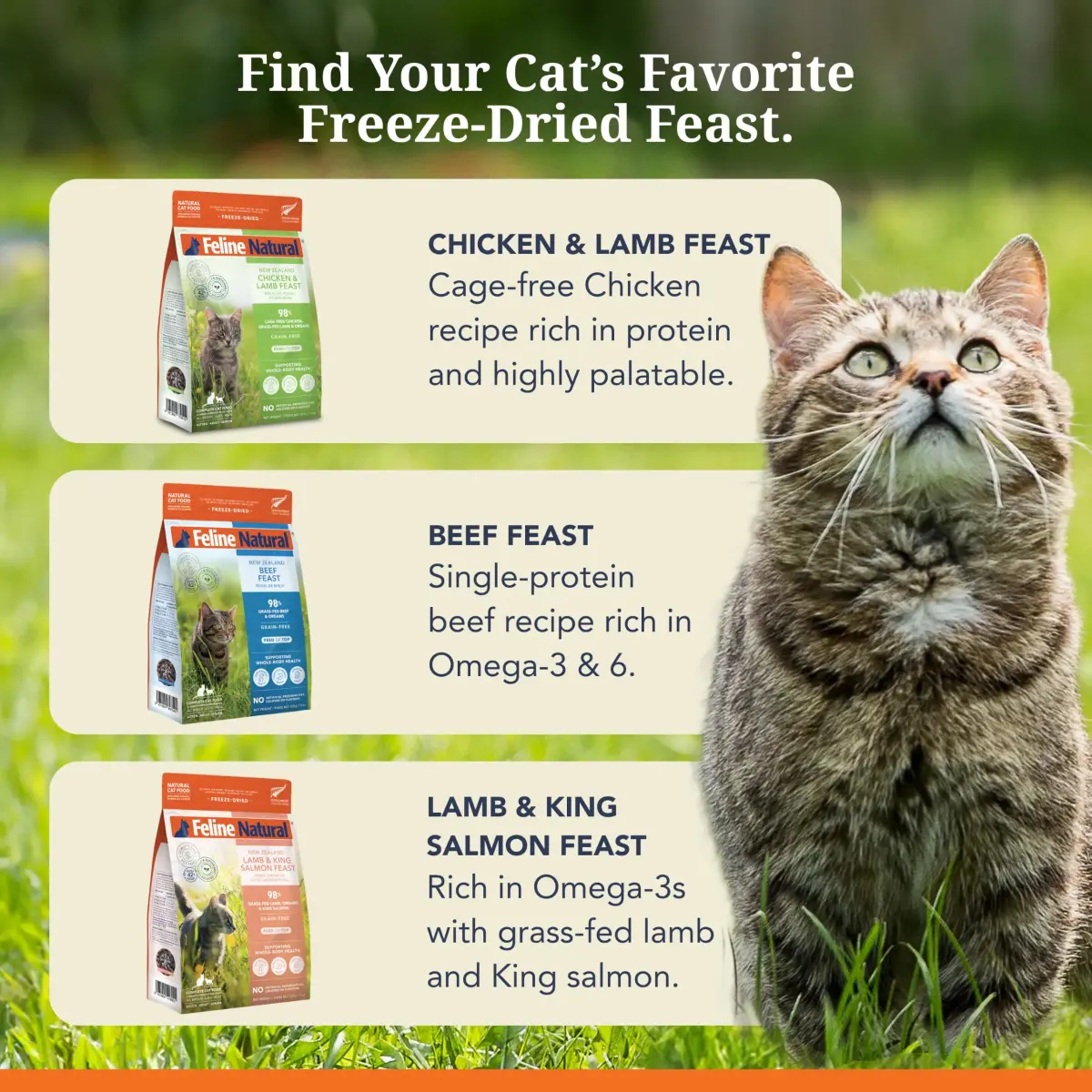 Feline Natural Beef & Hoki Freeze Dried Cat Food 100g (3.5oz) | 98% Meat High Protein Diet - view 8
