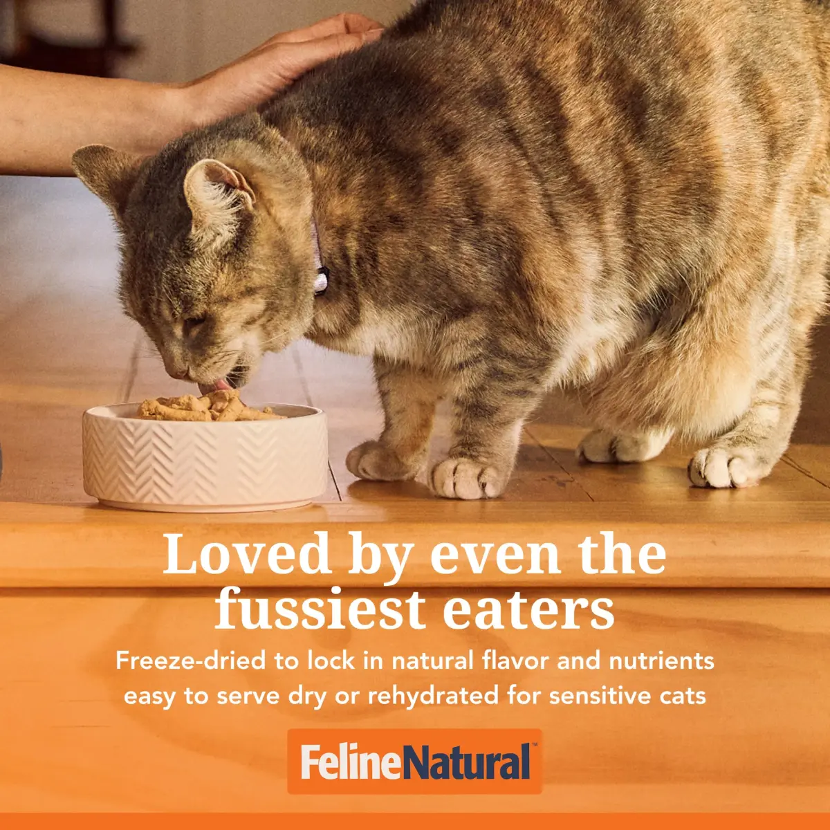 Feline Natural Beef & Hoki Freeze Dried Cat Food 100g (3.5oz) | 98% Meat High Protein Diet - view 3